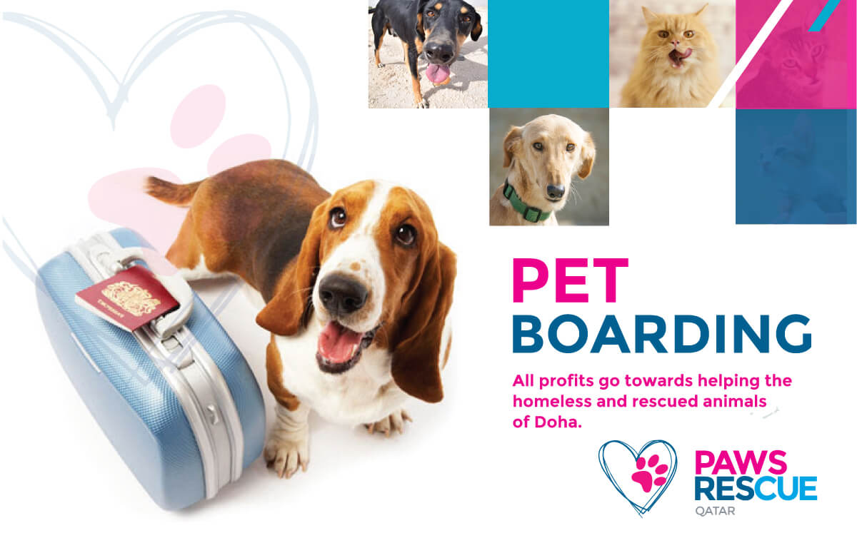 Paws Rescue Qatar animal welfare, animal rescue, animal shelter