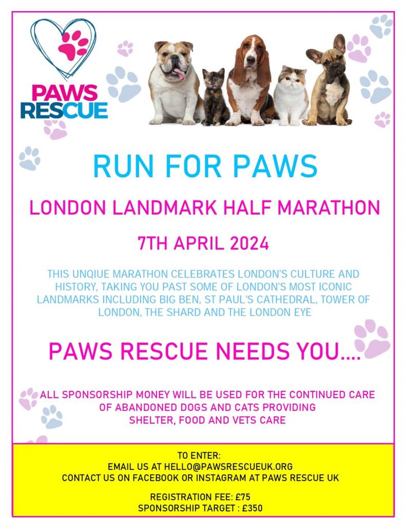 Paws Rescue Qatar animal welfare, animal rescue, animal shelter